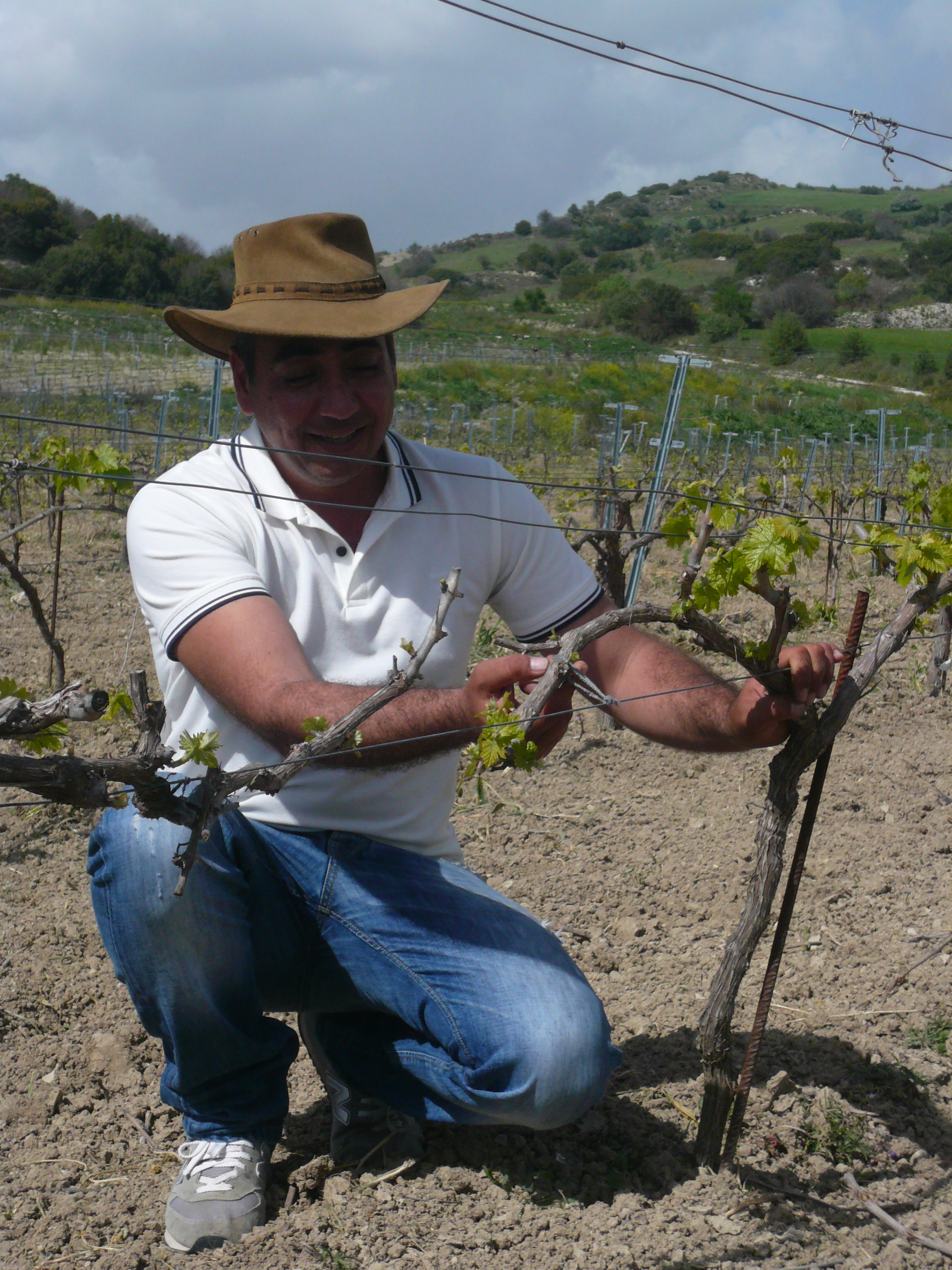 Winemaking